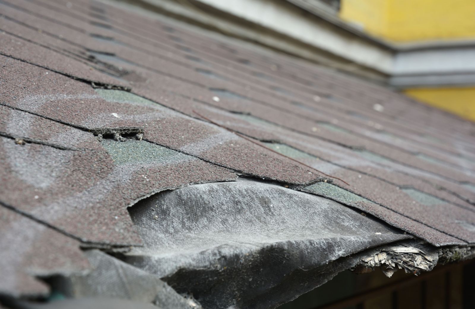 TX Roofing & Consulting Images