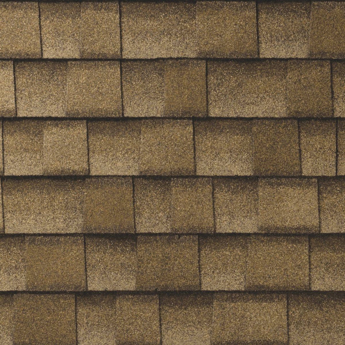TX Roofing & Consulting Images