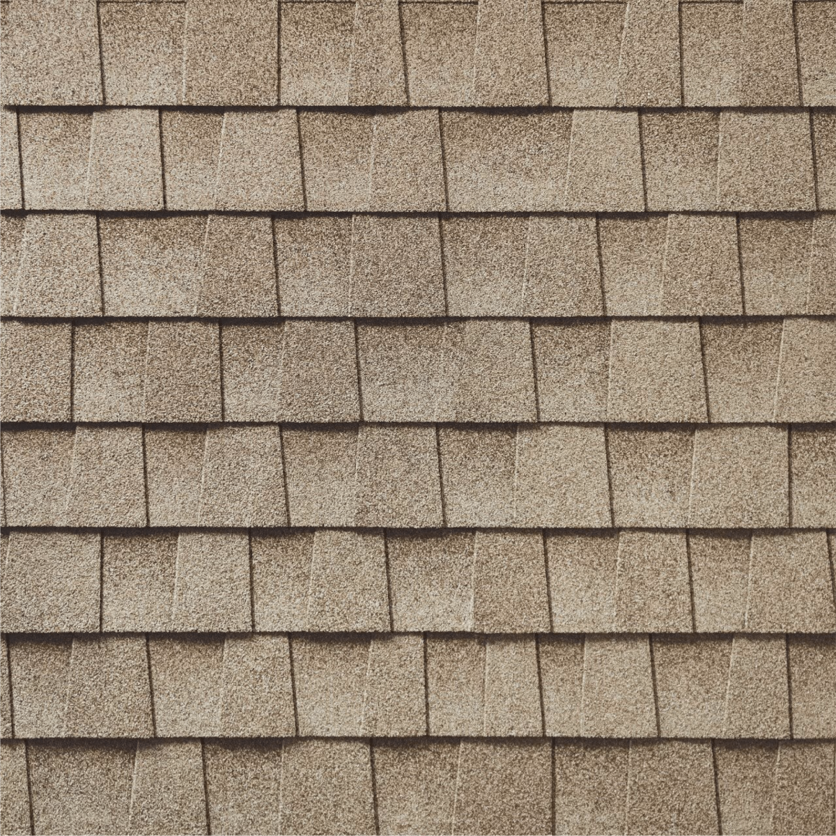 TX Roofing & Consulting Images