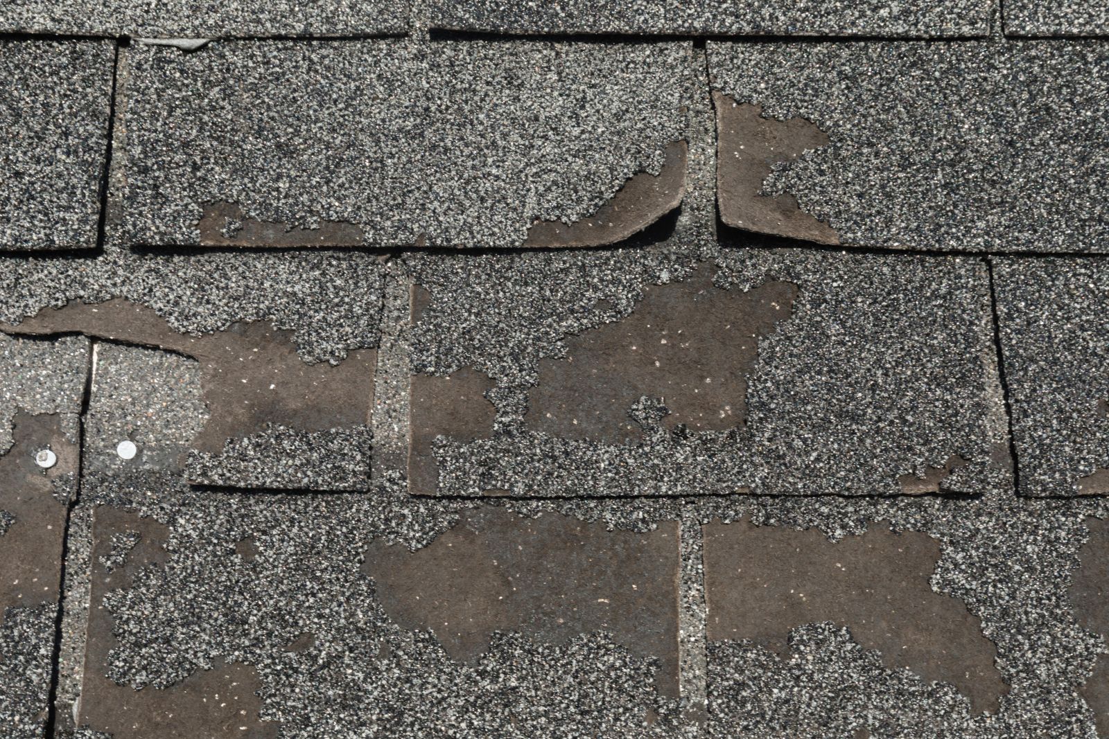 TX Roofing & Consulting Images