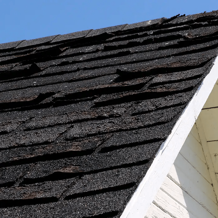 TX Roofing & Consulting Images